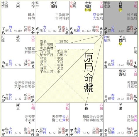 紫微斗數空白命盤下載